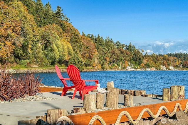 24410 Vashon Hwy SW, Vashon, WA 98070 - water view featuring a forest