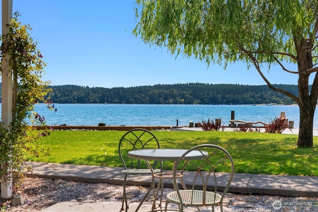 24410 Vashon Hwy SW, Vashon, WA 98070 - water view featuring a forest and a dock