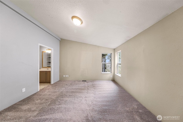 4949 Samish Way Unit 17, Bellingham, WA 98229 - spare room featuring light carpet, lofted ceiling, a sink, and a textured ceiling