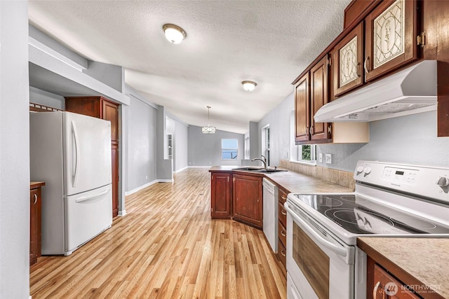 4949 Samish Way Unit 17, Bellingham, WA 98229 - kitchen with white appliances, under cabinet range hood, a peninsula, light wood-type flooring, and a sink
