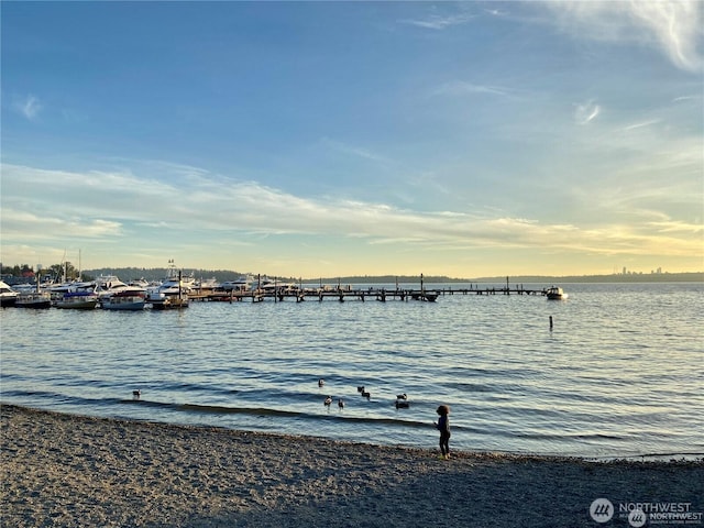 220 1st St Unit 409, Kirkland, WA 98033 - water view with a dock