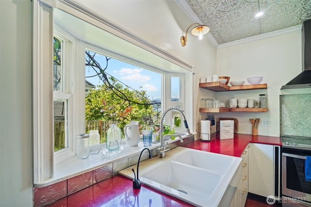 5060 E State Route 106, Union, WA 98592 - kitchen with oven, ornamental molding, a sink, an ornate ceiling, and wall chimney exhaust hood