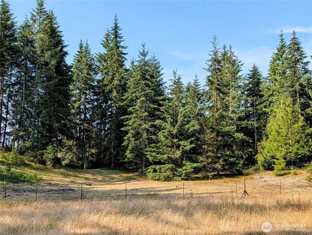14610 176th Ave NW, Gig Harbor, WA 98329 - photo 40