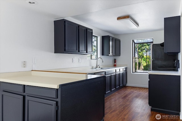 111 NW Columbia Dr Unit B7, Oak Harbor, WA 98277 - kitchen featuring a sink, dark wood-type flooring, light countertops, and stove