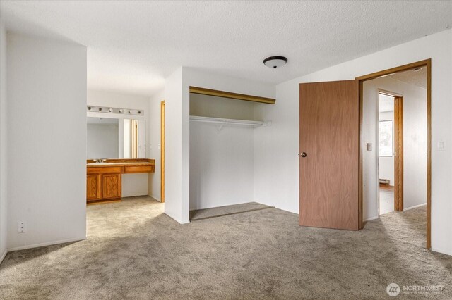 111 NW Columbia Dr Unit B7, Oak Harbor, WA 98277 - unfurnished bedroom featuring carpet, a closet, and a sink