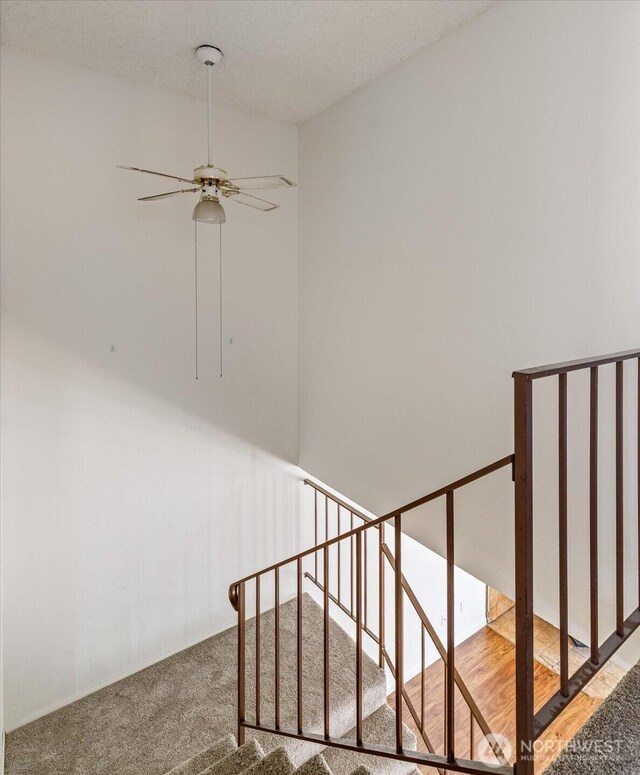111 NW Columbia Dr Unit B7, Oak Harbor, WA 98277 - stairs featuring a ceiling fan and carpet floors
