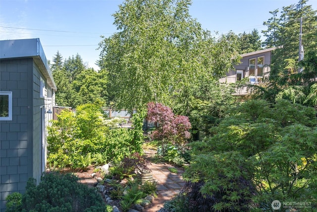 1650 Cherry St, Port Townsend, WA 98368 - view of yard