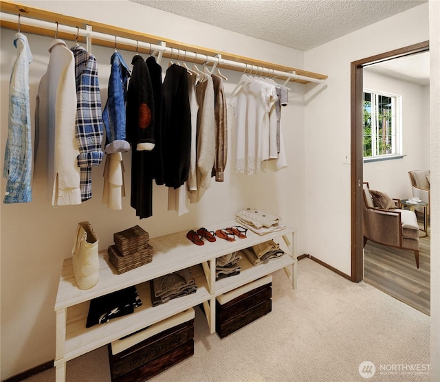 16817 21st Ave E, Spanaway, WA 98387 - walk in closet featuring carpet flooring