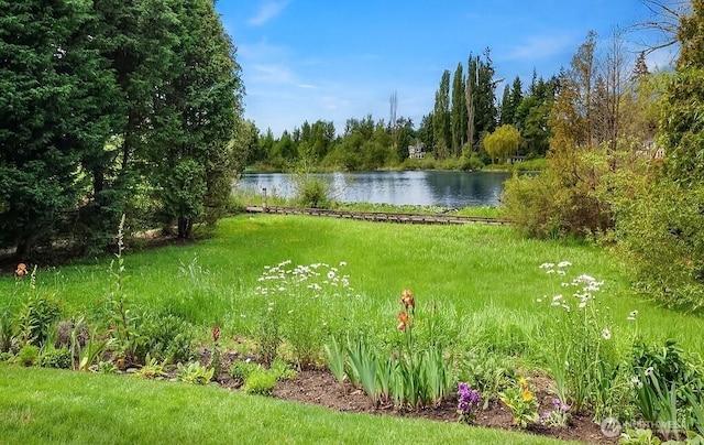 12307 NE 97th St Unit B, Kirkland, WA 98033 - view of yard featuring a water view