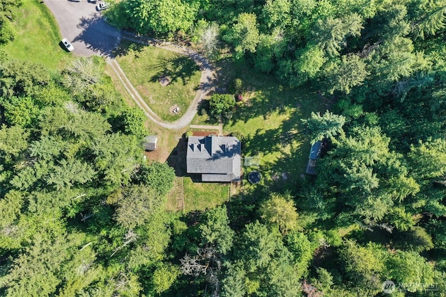 15329 Mckee Ln SE, Yelm, WA 98597 - aerial view of property's location