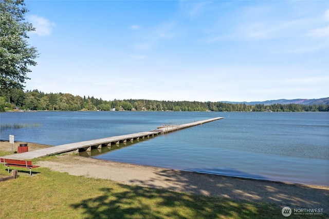 15329 Mckee Ln SE, Yelm, WA 98597 - dock area featuring a water view and a view of trees