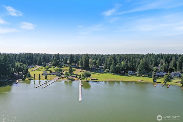 15329 Mckee Ln SE, Yelm, WA 98597 - bird's eye view of a large body of water and a forest