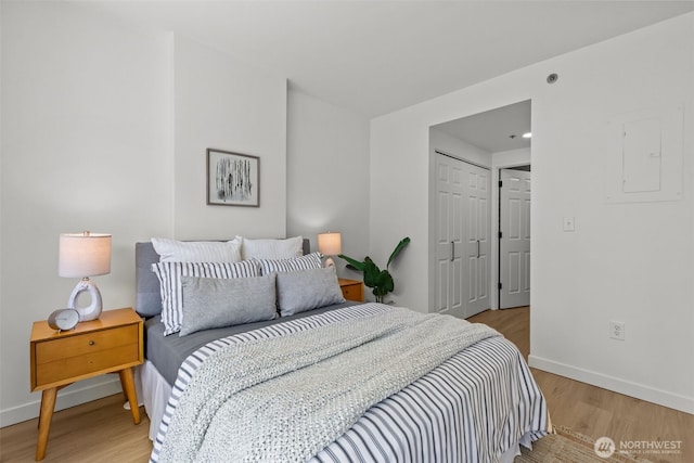 2600 2nd Ave Unit 504, Seattle, WA 98121 - bedroom with electric panel, light wood-style flooring, and baseboards