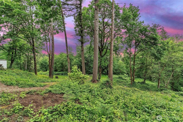 214 Inglewood Dr, Longview, WA 98632 - view of nature at dusk