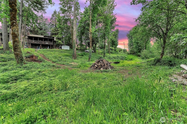 214 Inglewood Dr, Longview, WA 98632 - view of yard