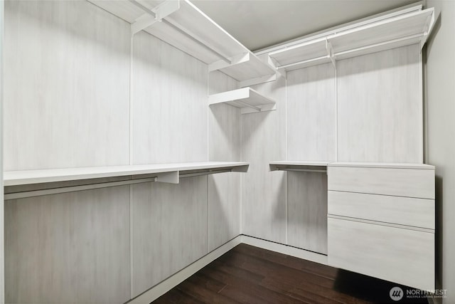 628 163rd Ave SE, Bellevue, WA 98008 - walk in closet with dark wood-style floors