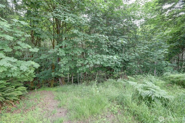 15 E Smith Cove Way, Shelton, WA 98584