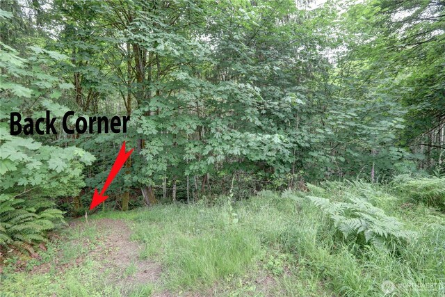 15 E Smith Cove Way, Shelton, WA 98584