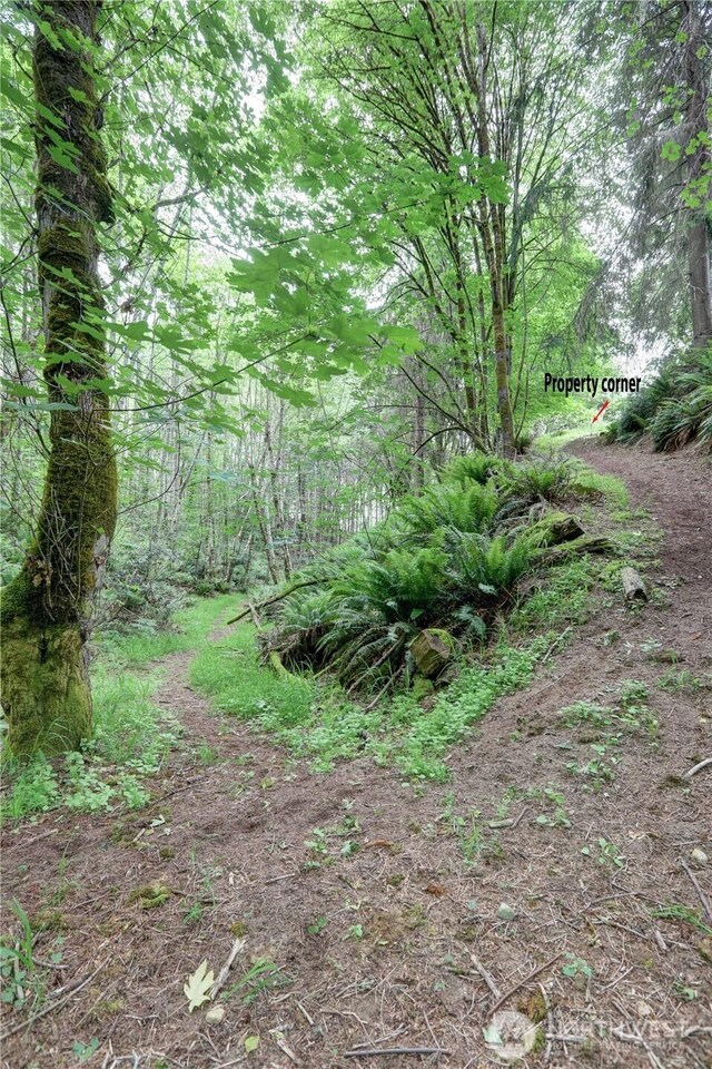 15 E Smith Cove Way, Shelton, WA 98584