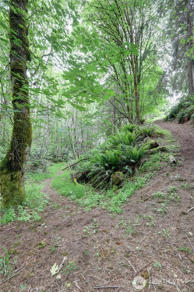 15 E Smith Cove Way, Shelton, WA 98584