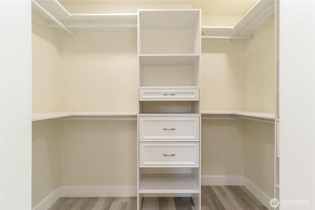 605 Holly St, Walla Walla, WA 99362 - walk in closet with light wood-style flooring