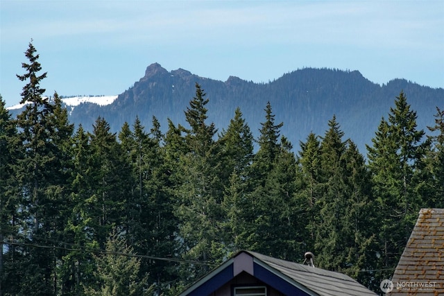 1538 W 12th St, Port Angeles, WA 98363 - view of mountain background featuring a heavily wooded area