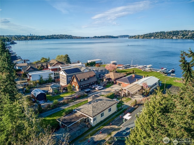 10008 Rainier Ave S, Seattle, WA 98178 - drone / aerial view of a large body of water