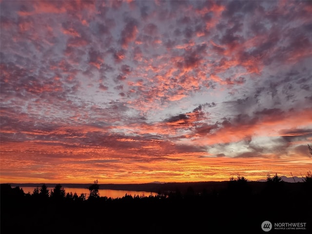 12908 57th Ave NW, Gig Harbor, WA 98332 - view of nature featuring a large body of water