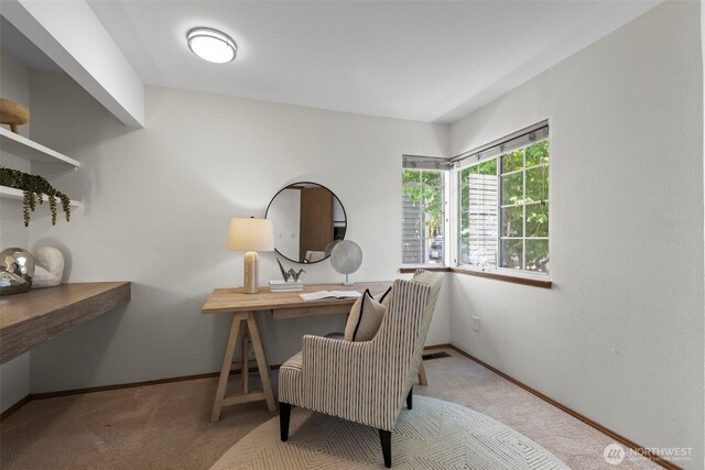 12731 102nd Ave NE, Kirkland, WA 98034 - home office featuring carpet floors and baseboards