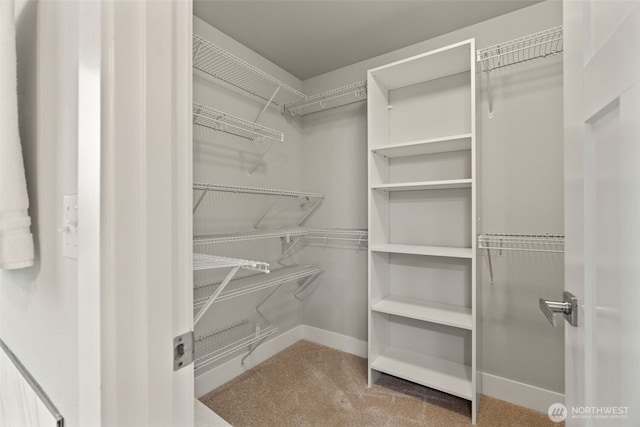 4408 214th Pl SE, Bothell, WA 98021 - walk in closet with carpet flooring