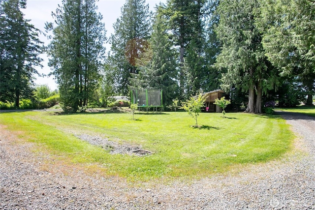 6224 Everson Goshen Rd, Everson, WA 98247 - photo 30