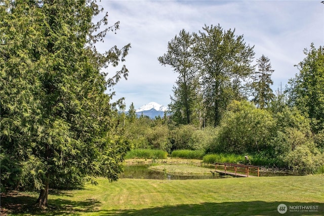 6224 Everson Goshen Rd, Everson, WA 98247 - photo 34