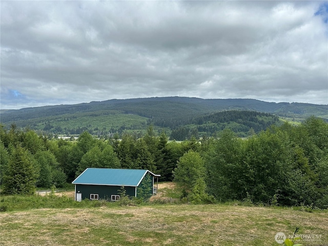 341 Parpala Rd, Naselle, WA 98638 - photo 5