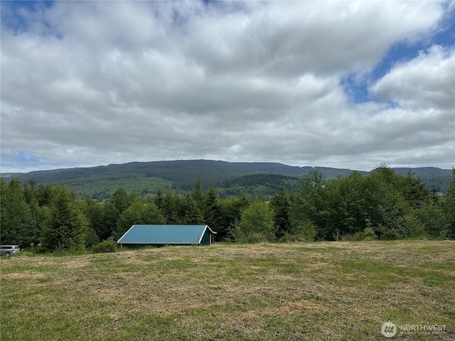 341 Parpala Rd, Naselle, WA 98638 - photo 6