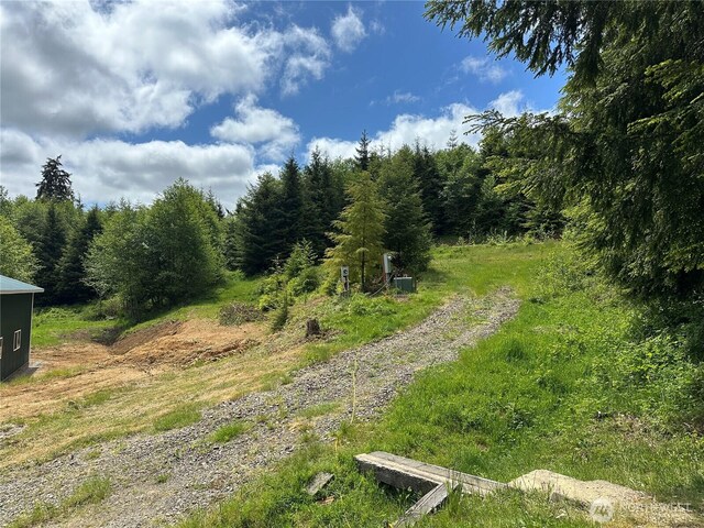 341 Parpala Rd, Naselle, WA 98638 - photo 23