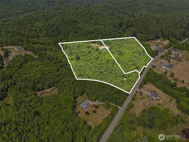 341 Parpala Rd, Naselle, WA 98638 - photo 1