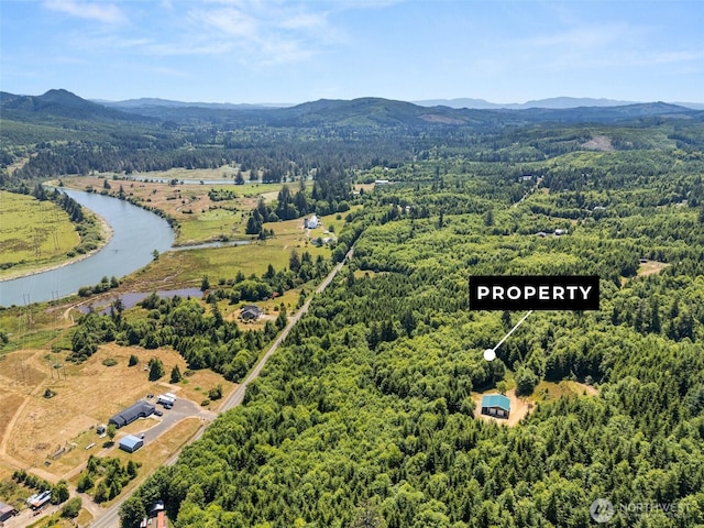 341 Parpala Rd, Naselle, WA 98638 - photo 3