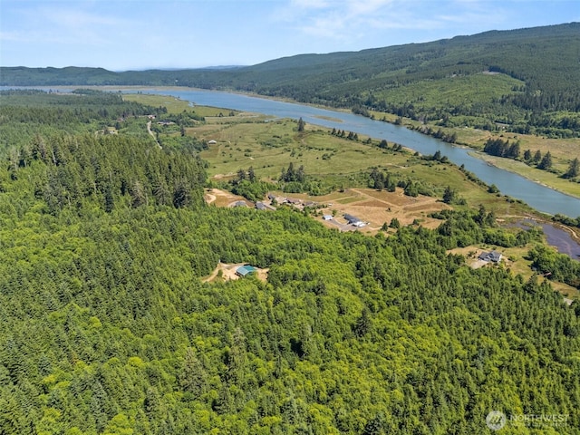 341 Parpala Rd, Naselle, WA 98638 - photo 4