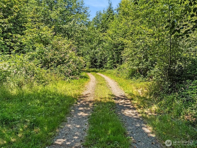 341 Parpala Rd, Naselle, WA 98638 - photo 8