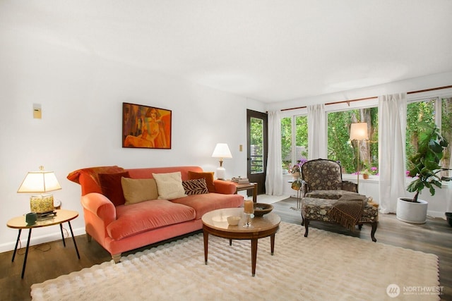 3505 W Government Way Unit 203, Seattle, WA 98199 - living room with wood finished floors and plenty of natural light