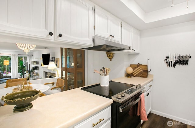 3505 W Government Way Unit 203, Seattle, WA 98199 - kitchen featuring under cabinet range hood, electric range oven, dark wood-style flooring, white cabinets, and light countertops