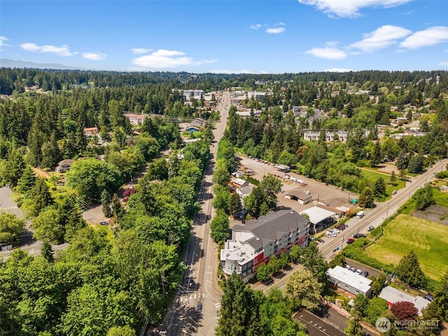 19500 Ballinger Way NE Unit 109, Shoreline, WA 98155 - bird's eye view of a forest