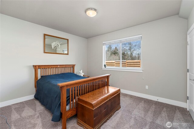 6714 123rd Ave NE, Lake Stevens, WA 98258 - photo 18