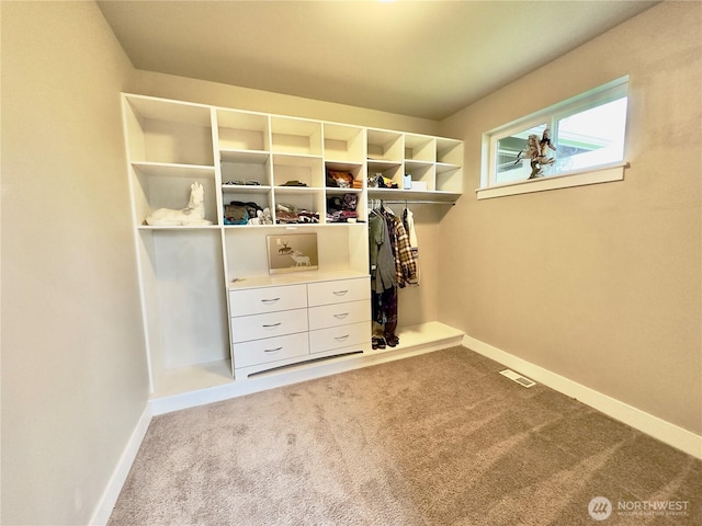 6714 123rd Ave NE, Lake Stevens, WA 98258 - photo 17