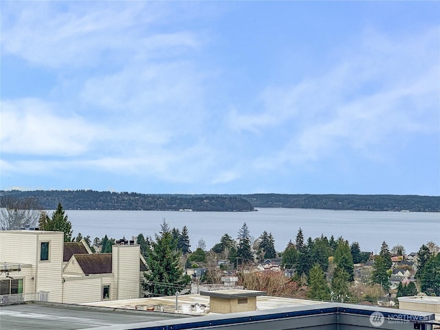4519 44th Ave SW Unit A, Seattle, WA 98116 - water view