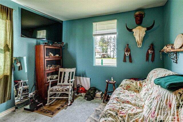 16672 Frontier St, Clallam Bay, WA 98326 - living area with carpet floors