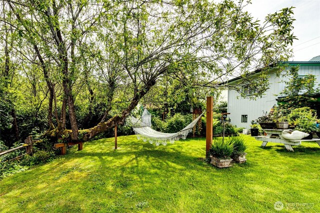 16672 Frontier St, Clallam Bay, WA 98326 - view of green lawn