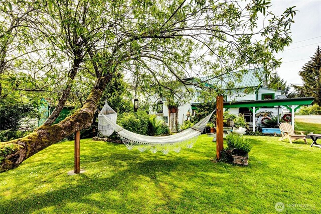 16672 Frontier St, Clallam Bay, WA 98326 - view of green lawn