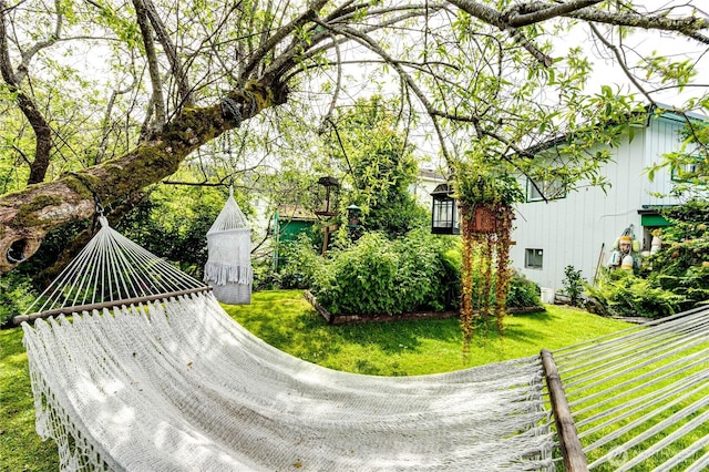 16672 Frontier St, Clallam Bay, WA 98326 - view of green lawn