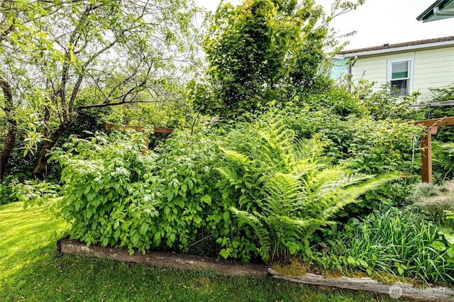 16672 Frontier St, Clallam Bay, WA 98326 - view of yard